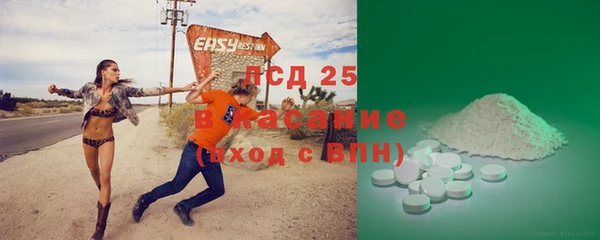 прущие грибы Аркадак