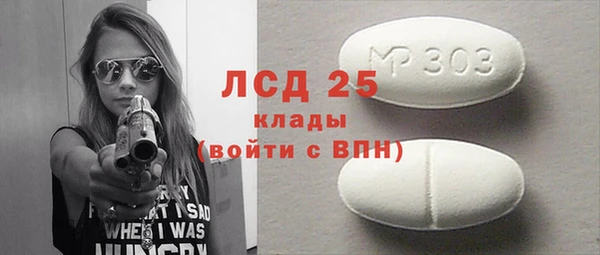 прущие грибы Аркадак