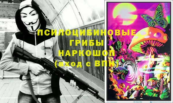 гидропоника Алексеевка